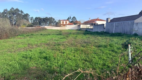 Terreno para Venda em Alvarães