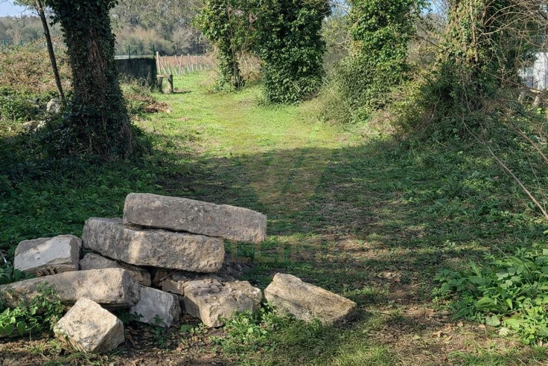 Terreno para Venda em Mazarefes e Vila Fria Foto 3