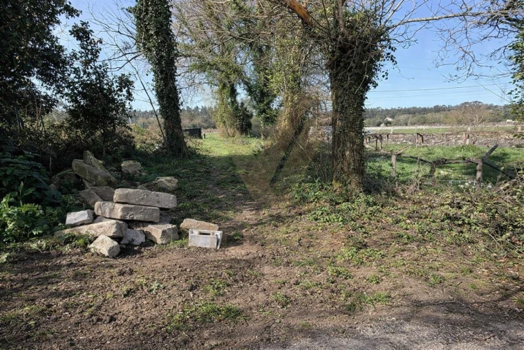 Terreno para Venda em Mazarefes e Vila Fria Foto 4
