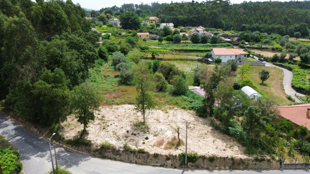 Terreno para Venda em Ardegão, Freixo e Mato Foto 3
