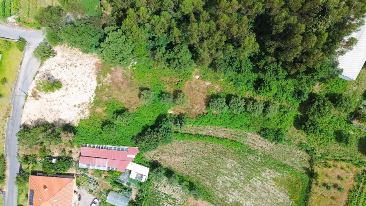 Terreno para Venda em Ardegão, Freixo e Mato Foto 9