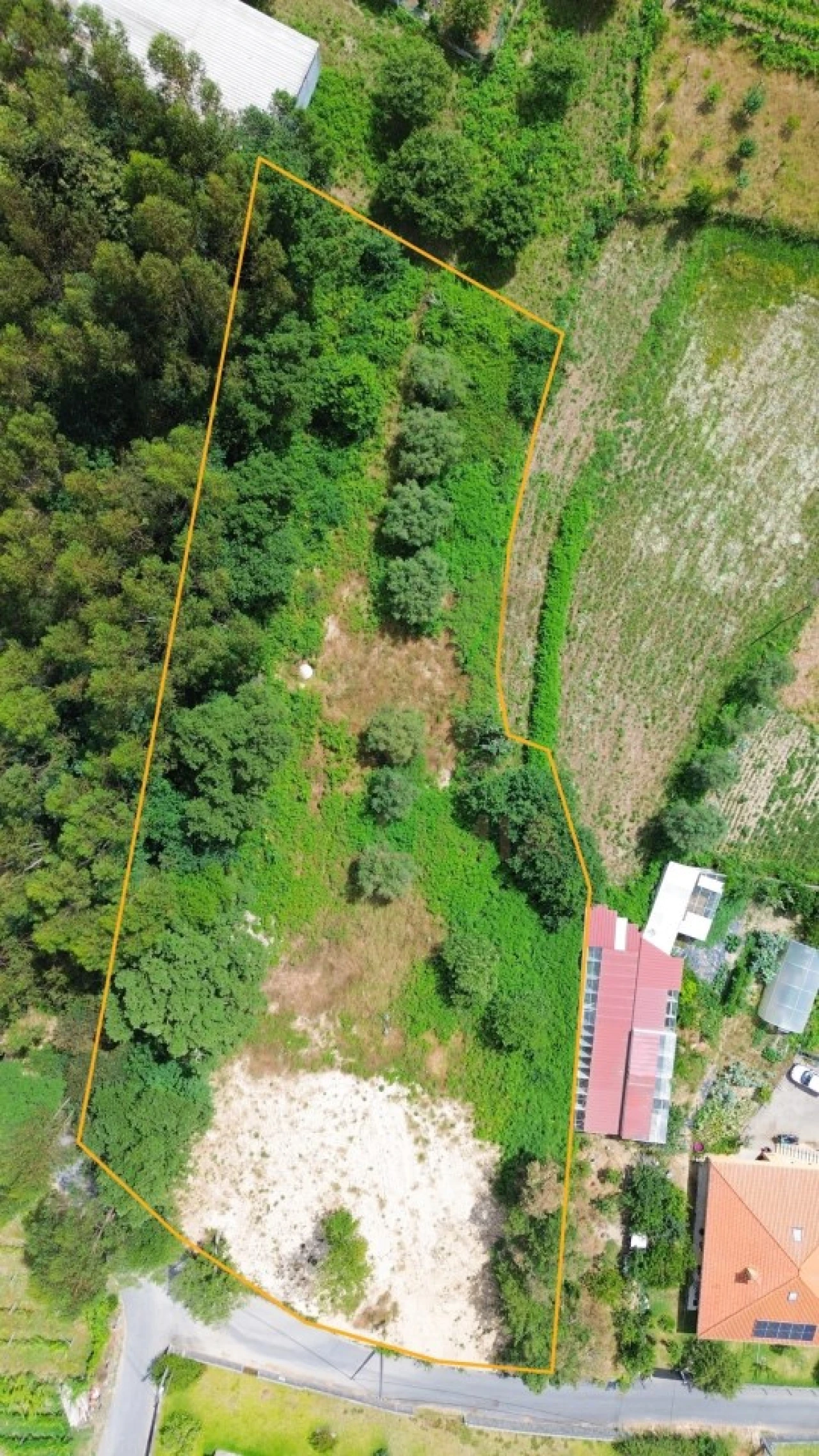 Terreno para Venda em Ardegão, Freixo e Mato Foto 10
