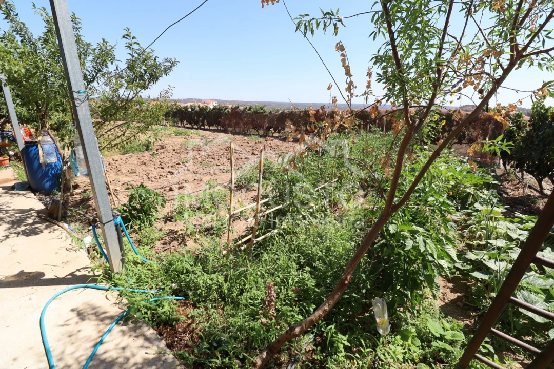 Quinta T3 para Venda em Odeleite Foto 27