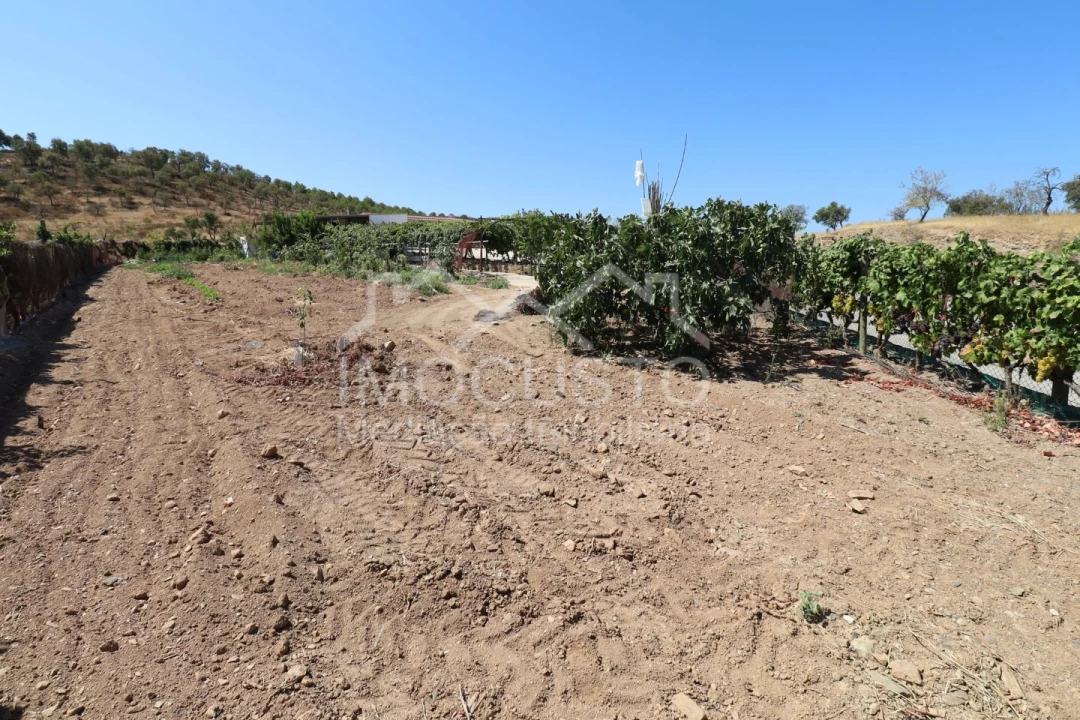 Quinta T3 para Venda em Odeleite Foto 29