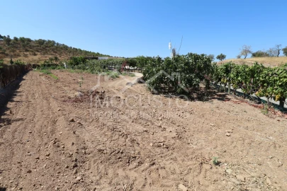 Quinta T3 para Venda em Odeleite