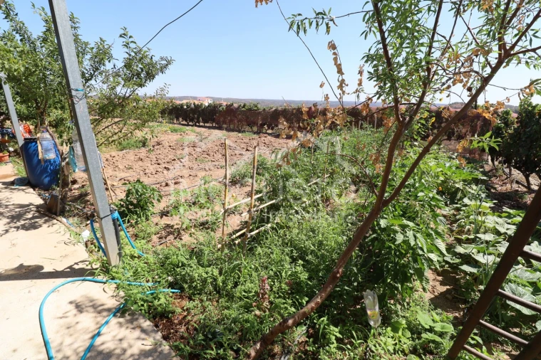 Quinta T3 para Venda em Odeleite Foto 27