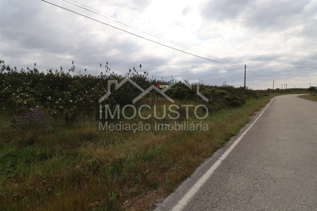Terreno para Venda em Azinhal Foto 2