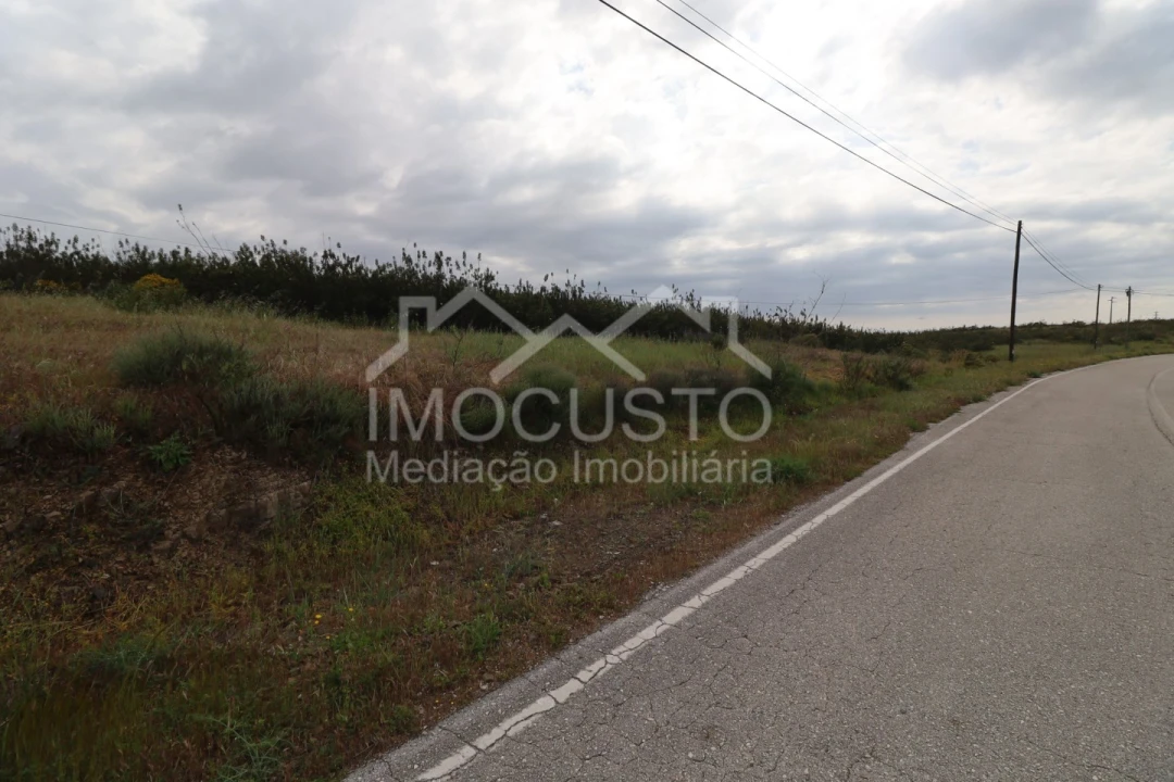 Terreno para Venda em Azinhal Foto 3