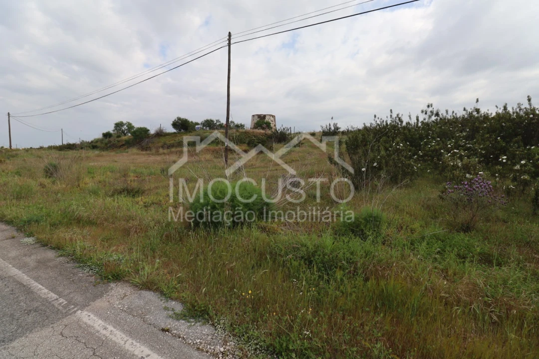 Terreno para Venda em Azinhal Foto 4