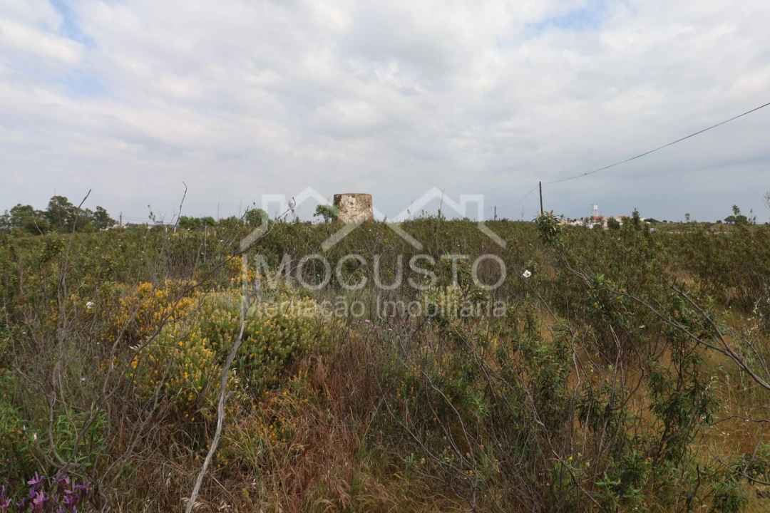 Terreno para Venda em Azinhal Foto 5