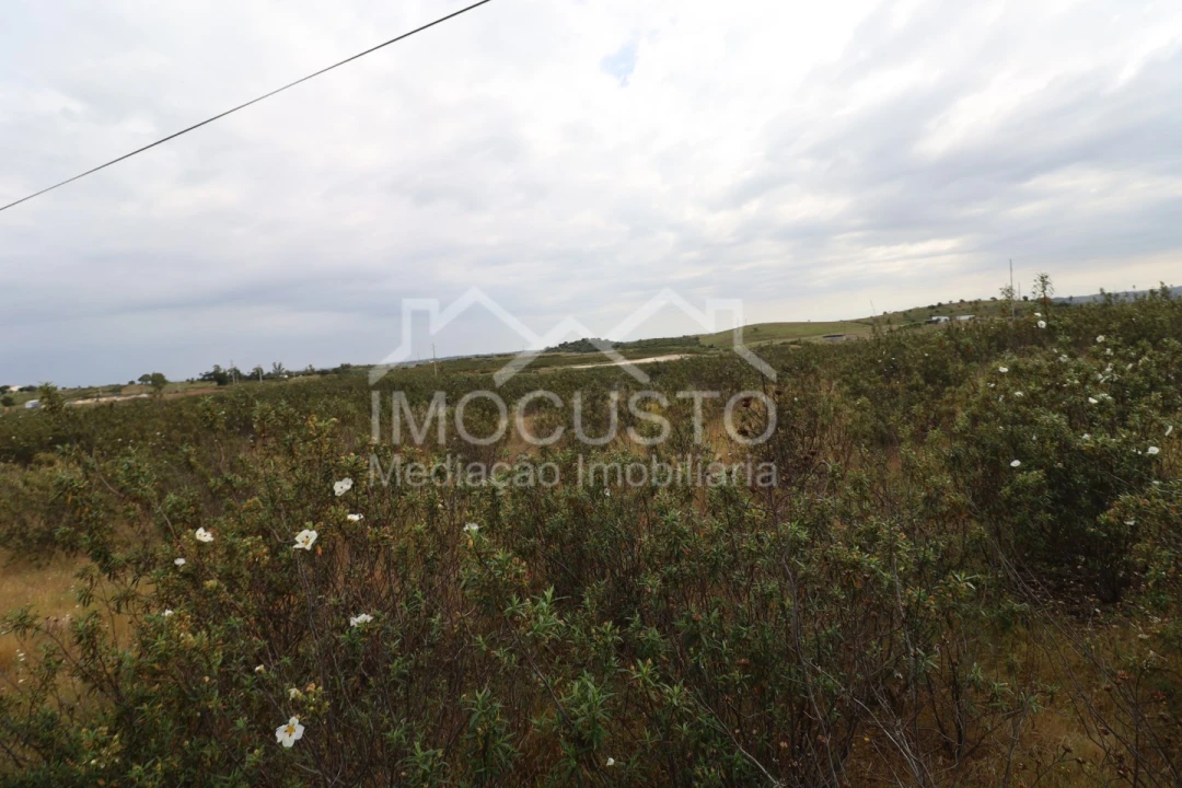 Terreno para Venda em Azinhal Foto 7
