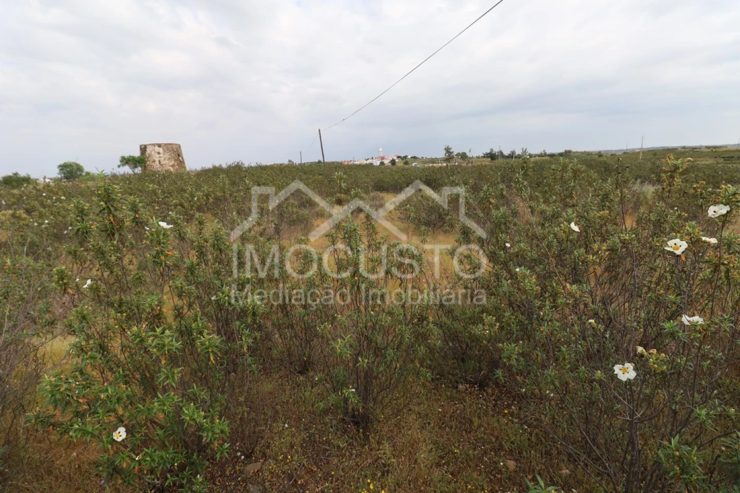 Terreno para Venda em Azinhal Foto 8