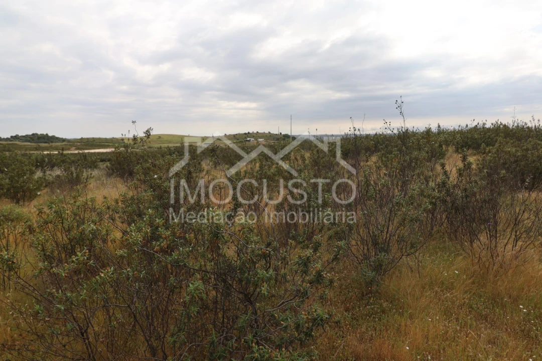 Terreno para Venda em Azinhal Foto 9