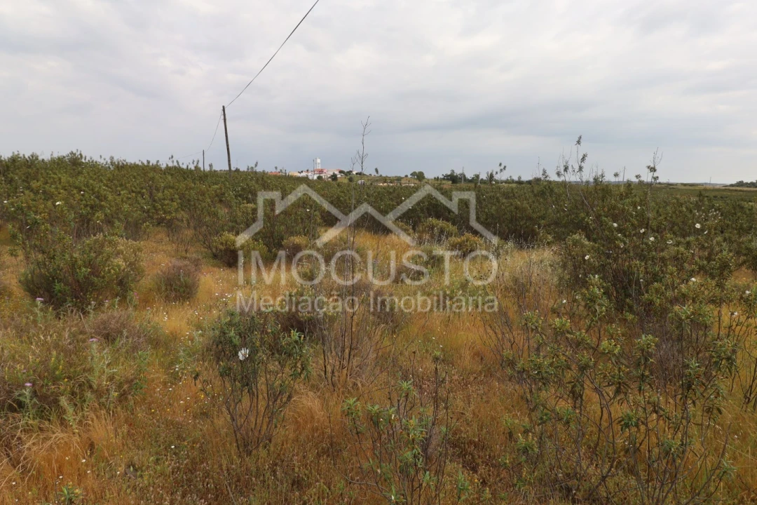 Terreno para Venda em Azinhal Foto 10