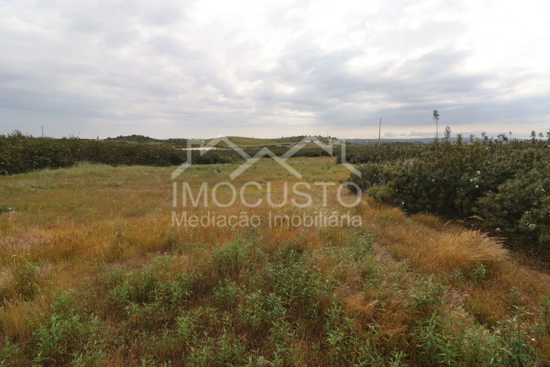 Terreno para Venda em Azinhal Foto 14