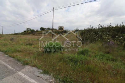 Terreno para Venda em Azinhal