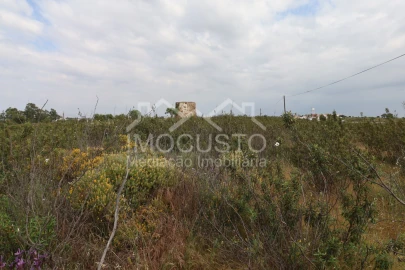 Terreno para Venda em Azinhal