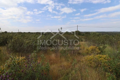 Terreno para Venda em Azinhal