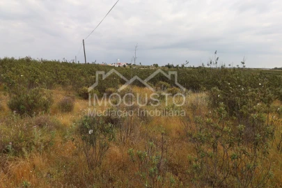 Terreno para Venda em Azinhal