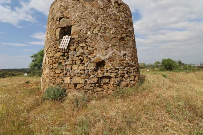 Terreno para Venda em Azinhal