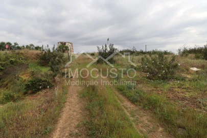 Terreno para Venda em Azinhal