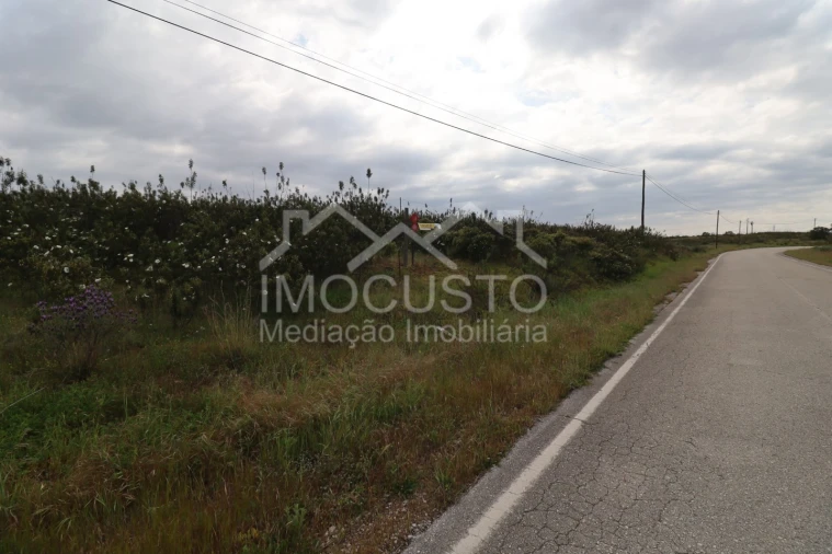 Terreno para Venda em Azinhal Foto 2