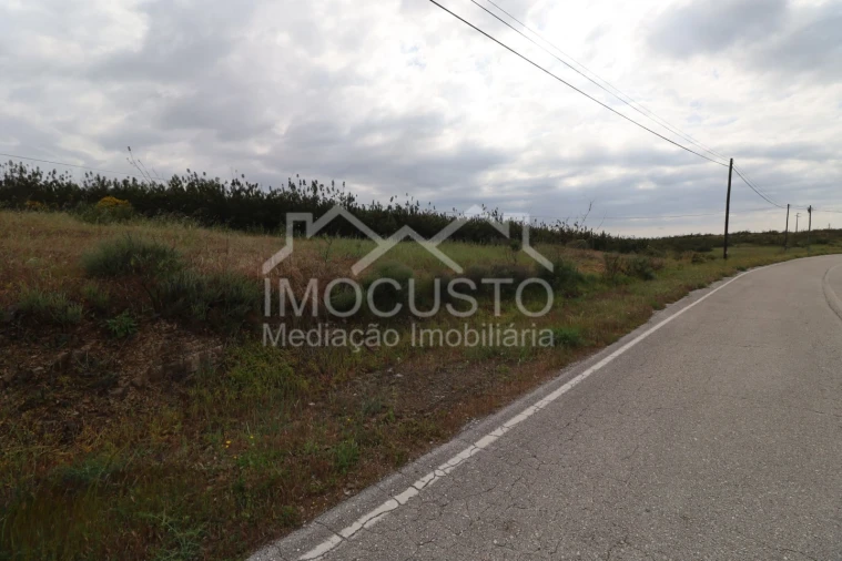 Terreno para Venda em Azinhal Foto 3