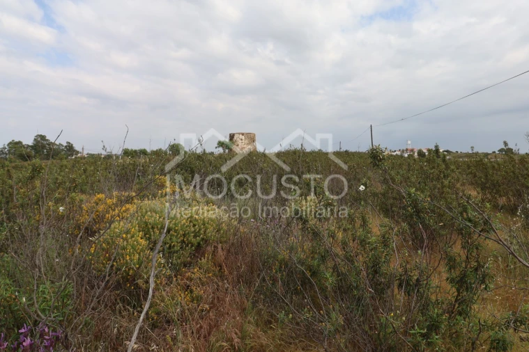 Terreno para Venda em Azinhal Foto 5