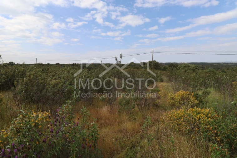 Terreno para Venda em Azinhal Foto 6