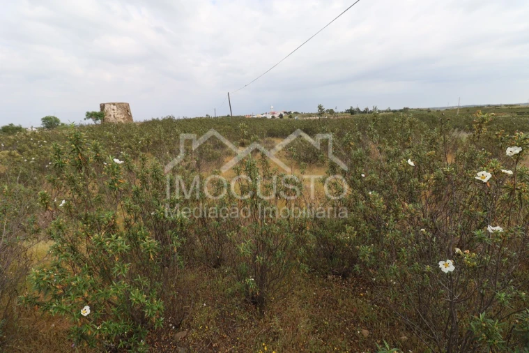 Terreno para Venda em Azinhal Foto 8