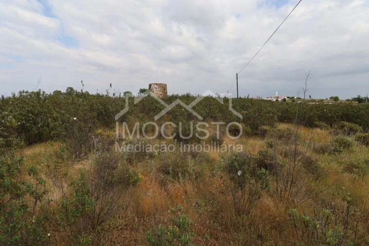 Terreno para Venda em Azinhal Foto 11
