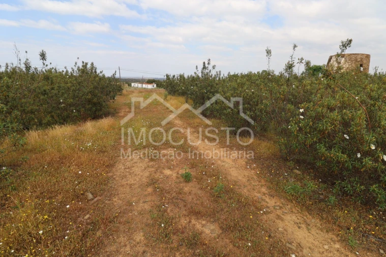 Terreno para Venda em Azinhal Foto 12