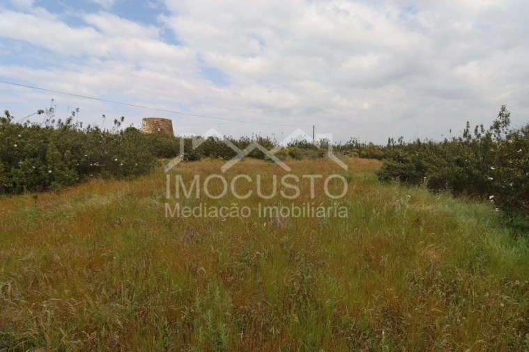 Terreno para Venda em Azinhal Foto 16