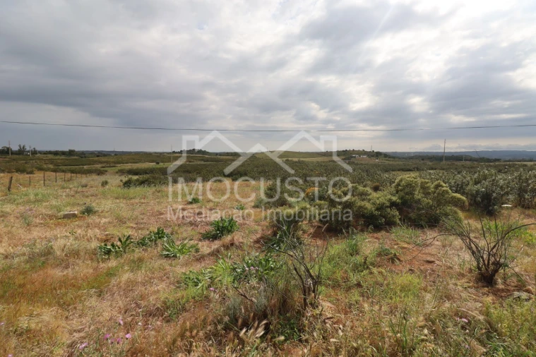 Terreno para Venda em Azinhal Foto 17