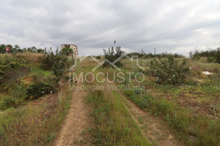 Terreno para Venda em Azinhal Foto 24