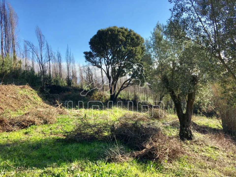 Moradia para Venda em Nogueira, Meixedo e Vilar de Murteda Foto 3