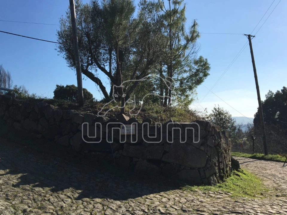 Moradia para Venda em Nogueira, Meixedo e Vilar de Murteda Foto 4