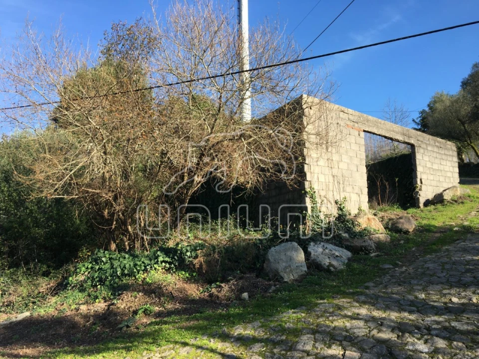 Moradia para Venda em Nogueira, Meixedo e Vilar de Murteda Foto 5