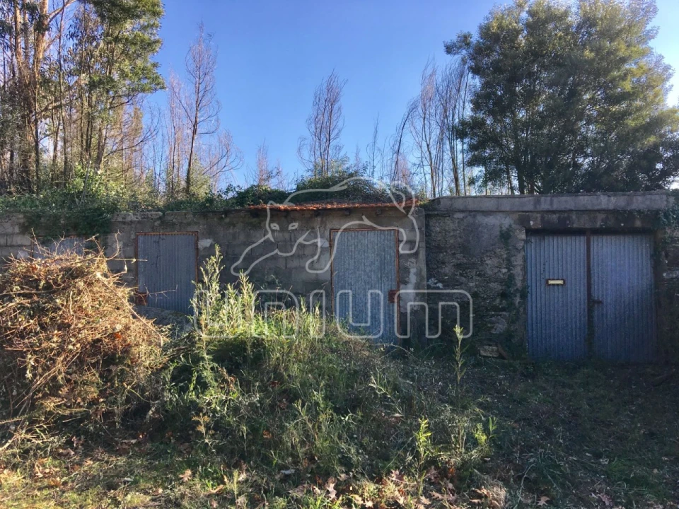 Moradia para Venda em Nogueira, Meixedo e Vilar de Murteda Foto 6