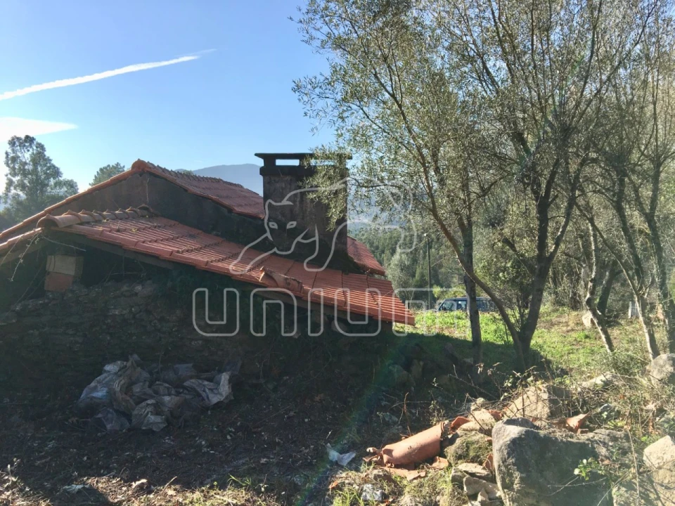 Moradia para Venda em Nogueira, Meixedo e Vilar de Murteda Foto 7