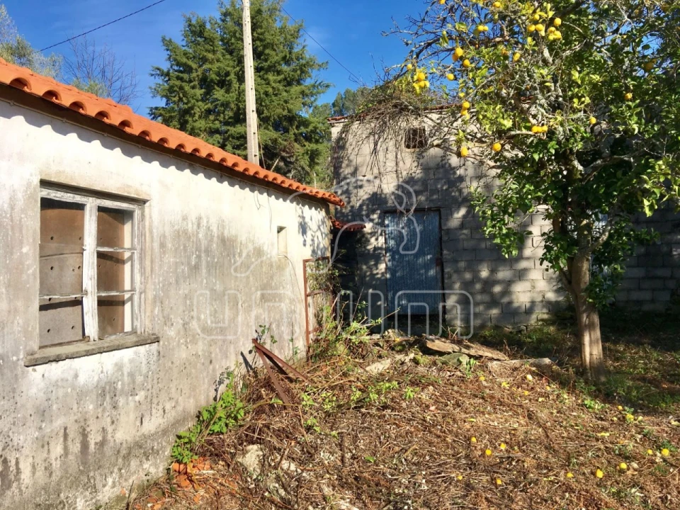 Moradia para Venda em Nogueira, Meixedo e Vilar de Murteda Foto 10