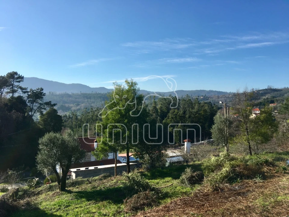 Moradia para Venda em Nogueira, Meixedo e Vilar de Murteda Foto 12