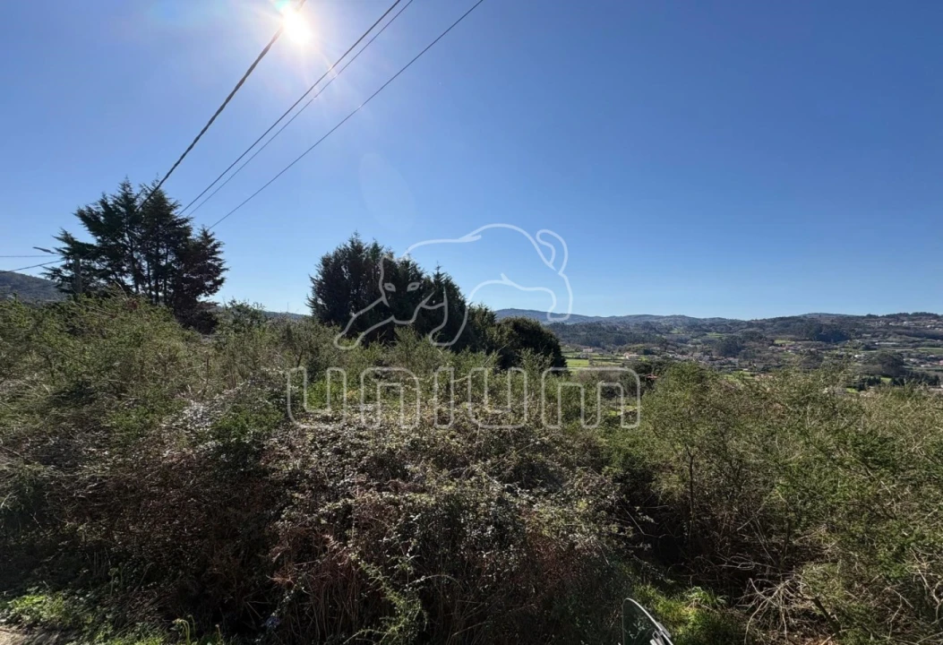 Terreno para Venda em Padornelo Foto 7
