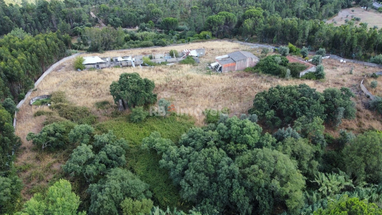 Quinta para Venda em Santa Margarida da Coutada Foto 1
