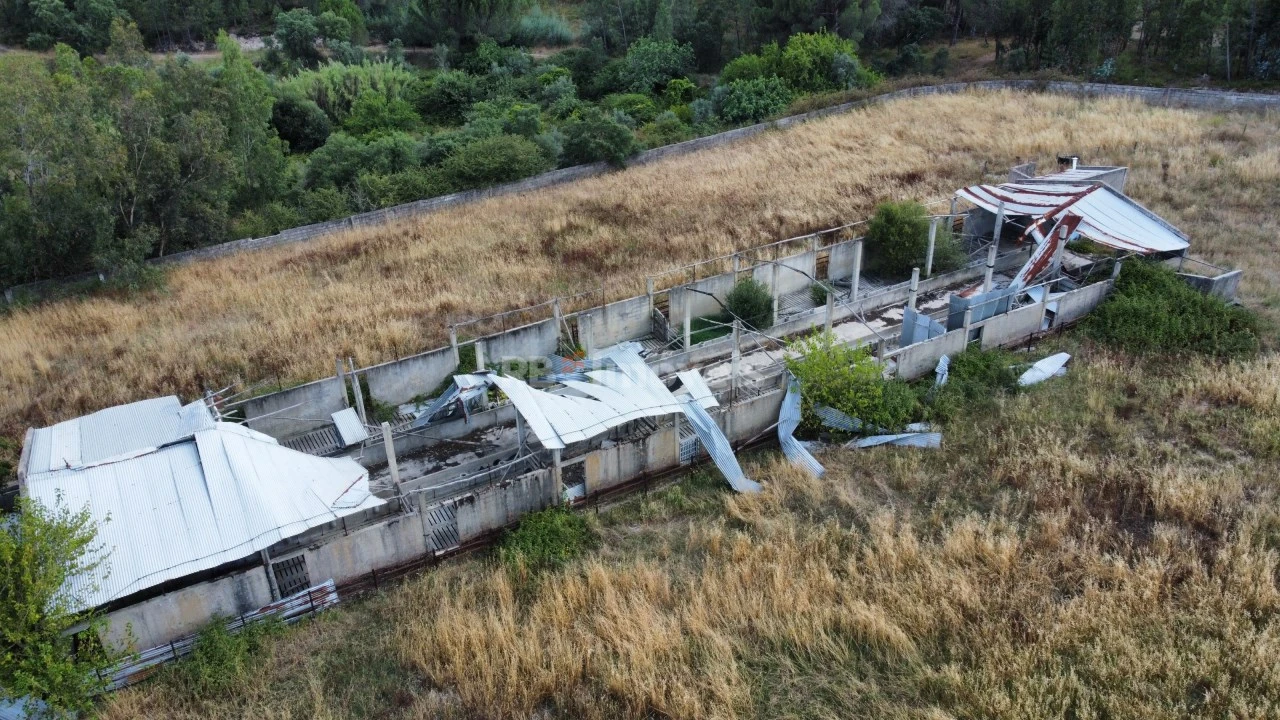 Quinta para Venda em Santa Margarida da Coutada Foto 5