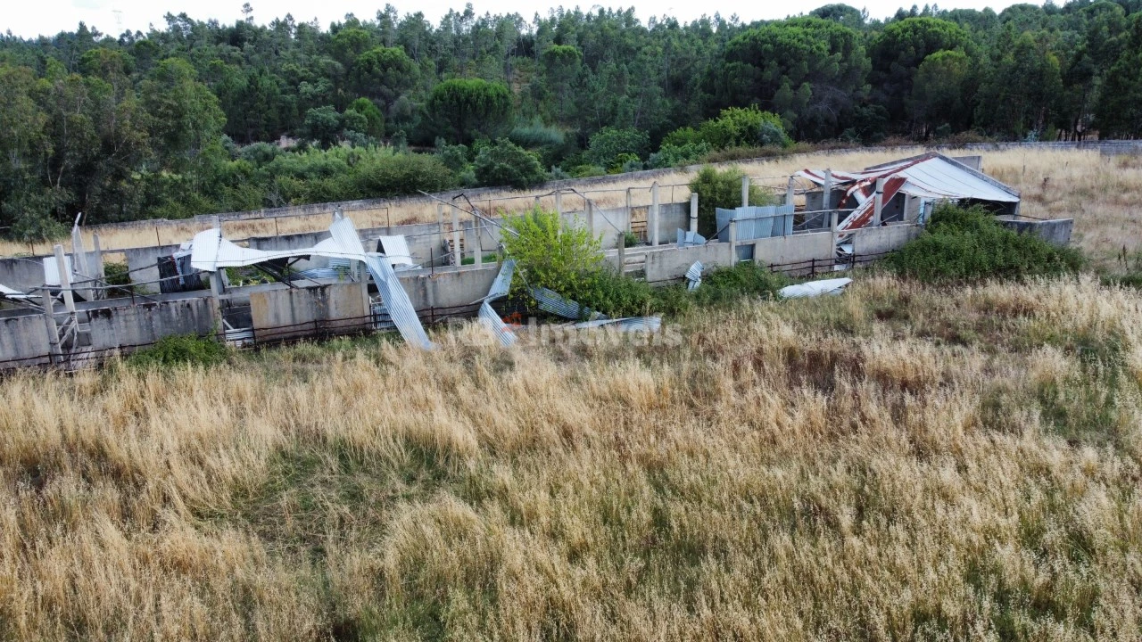 Quinta para Venda em Santa Margarida da Coutada Foto 6