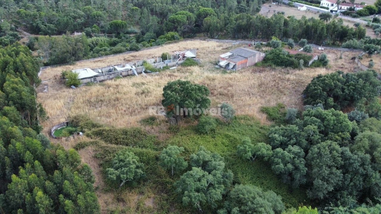 Quinta para Venda em Santa Margarida da Coutada Foto 11