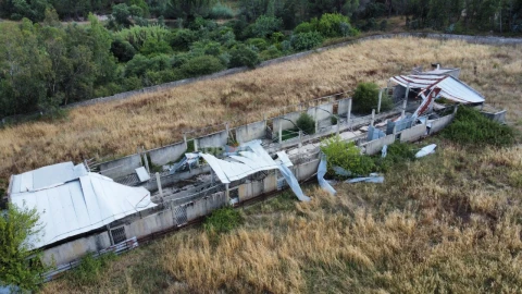 Quinta para Venda em Santa Margarida da Coutada