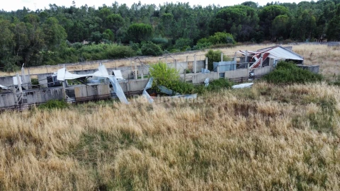 Quinta para Venda em Santa Margarida da Coutada