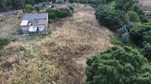Quinta para Venda em Santa Margarida da Coutada